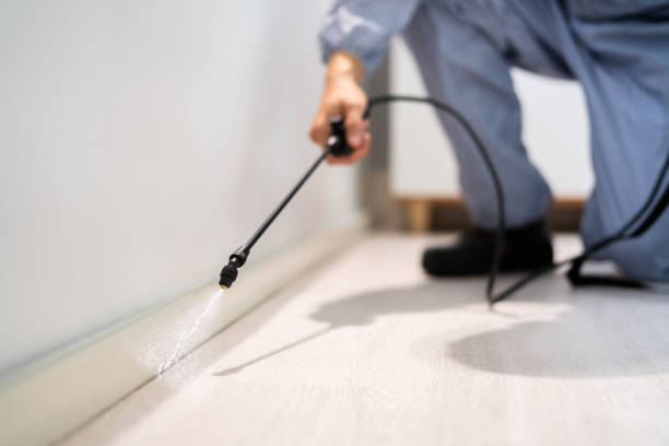 Licensed Fumigation Services service in Paterson, NJ - Nex Pest Control