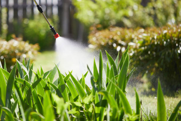 24/7 Emergency Fumigation Services experts in Paterson, NJ