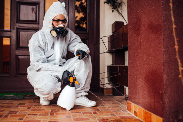 Reliable Fumigation Services contractor in Paterson, NJ by Nex Pest Control