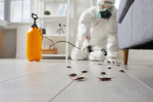 Trusted Fumigation Services service in Paterson, NJ - Nex Pest Control