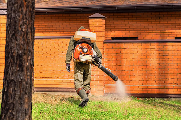 Trusted Bed Bug Control service in Paterson, NJ - Nex Pest Control